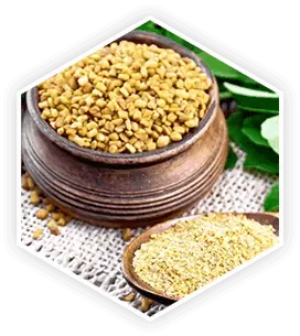 Fenugreek